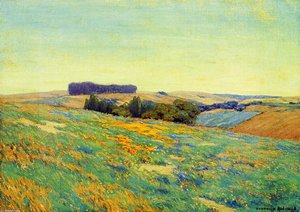 Poppies And Lupine — Granville Redmond