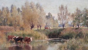 Landscape, South of France