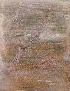 Les Cicatrices Du Ciel — Michel Biot