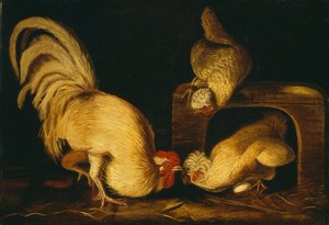 Farmyard Fowls — John James Audubon