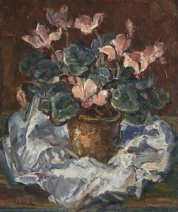 Cyclamen