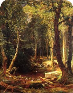 Pool In The Woods — Jasper Francis Cropsey