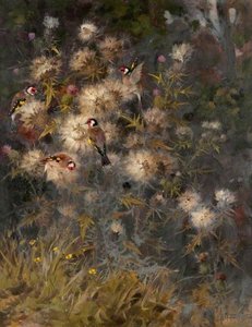 Thistledown — Andrew Allan