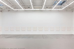 25 Paintings — Niele Toroni