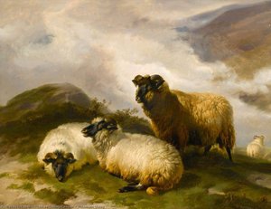 Mountain Sheep — Thomas Sidney Cooper