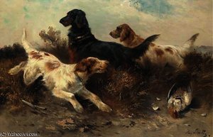 Setters with game in a landscape