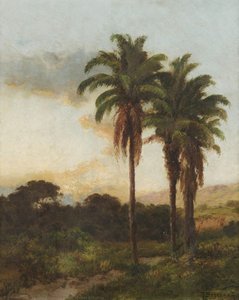 Palms Of Tolima — Ricardo Borrero Álvarez
