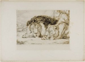 Sleeping Lion And Lioness — John Frederick Lewis