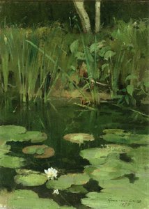 Water Lilies — Theodore Robinson
