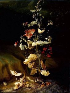 Still Life With Flowers — Otto Marseus Van Schrieck