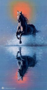 Running With The Wind — Jim Warren