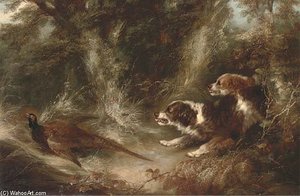 Two Spaniels With A Pheasant — George Armfield (smith)