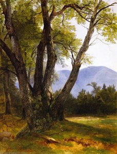 Shandaken, Ulster County, New York — Asher Brown Durand