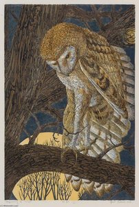 Beginning Of Night — Janet E Turner