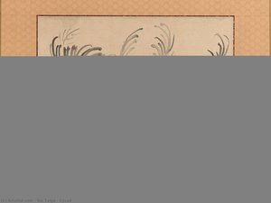 Cycad