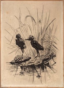 Two Birds