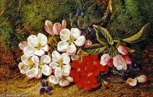 Blossom And Geraniums — George Clare