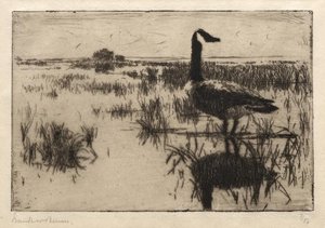 Lone Goose — Frank Weston Benson