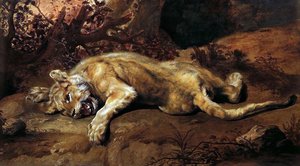 The Lioness