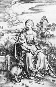Madonna With The Monkey — Albrecht Dürer, Northern Renaissance