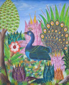 Untitled (peacock) — Adam Léontus