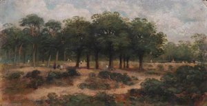 The Firs, Hampstead Heath