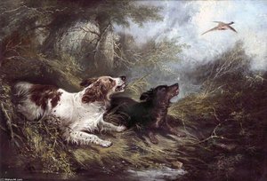 Two Spaniels Putting Up A Pheasant — George Armfield (smith)