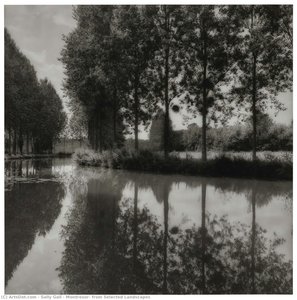 Montresor, From Selected Landscapes — Sally Gall, Contemporary Realism