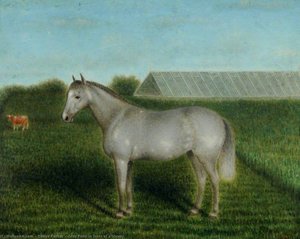 Grey Pony In Front Of A Vinery — Denys Corbet