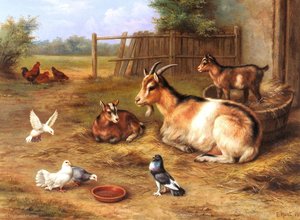 A Farmyard Scene With Goats Chickens Doves — Edgar Hunt