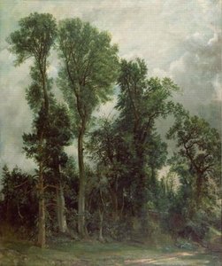 Trees At Hampstead — John Constable, Romantic Landscape