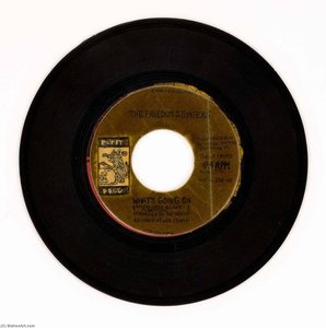 The Freedom Stompers What's Going On There's Nothing Wrong With You Baby — Mingering Mike