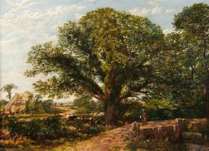 Rural Landscape — Martin Snape, Tonalism