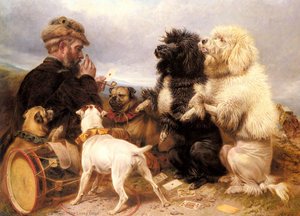 The Lucky Dogs