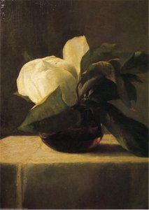 Magnolia — John La Farge