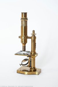 Small Model Of Upright Microscope — Maison Nachet & Fils
