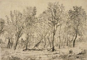 Bouquet D'arbres — James Ensor