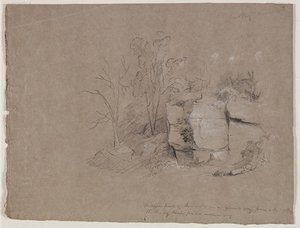 Rocks And Trees — Thomas Cole