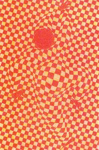 The Harlequin — Victor Vasarely, Op-art