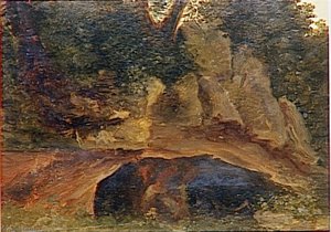 ROCHERS DANS UN SOUS BOIS