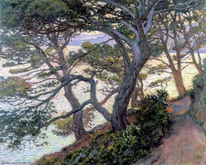 Pines Of Rayol — Theo Van Rysselberghe