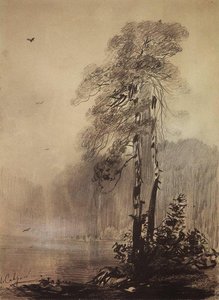 Pines On The Shores Of Lake — Aleksey Savrasov
