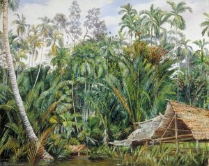 Old Boat House And Riverside Vegetation, Sarawak, Borneo — Marianne North