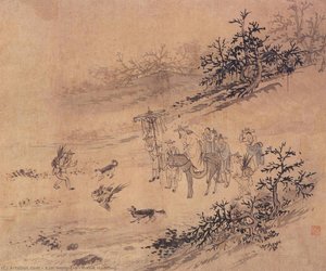 Hawk Hunting