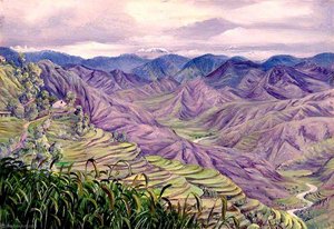 From Almorah, Kumaon, India — Marianne North