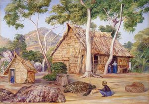 Emile's Palm House, Praslin, Seychelles — Marianne North