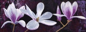 Three Magnolias