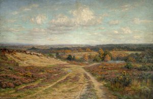 View Of Countryside Hills — Byron Cooper
