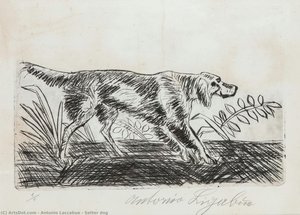 Setter Dog — Antonio Laccabue
