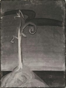 Untitled — Georgia O'keeffe